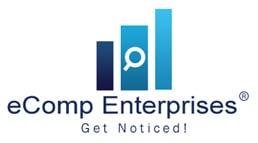 Professional SEO Service