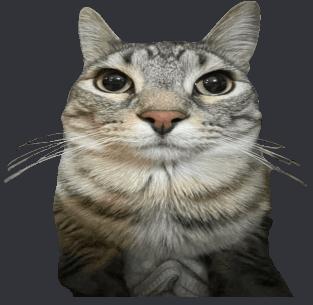 THC Customer Service