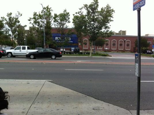 Across from bench at bus stop!