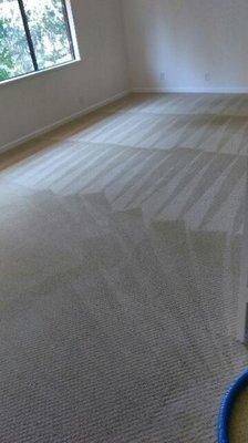 Long Life Carpet Cleaning