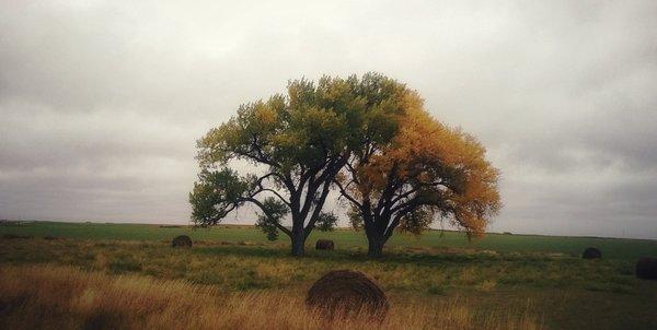 Larry L Miller, Atty