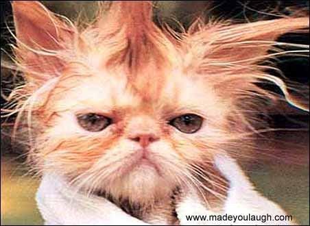 If you look like this...give us a call! :)