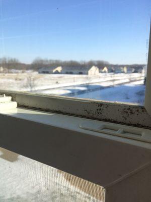 The Hammocks At Timber Banks