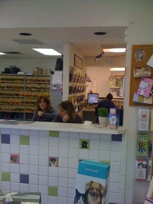 Animal Kingdom Veterinary Hospital