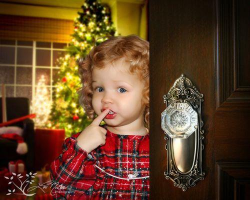 Lori McGee Photography