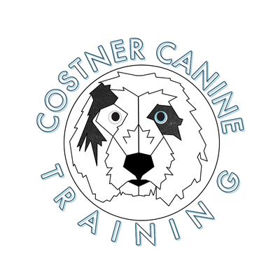 Costner Canine Training