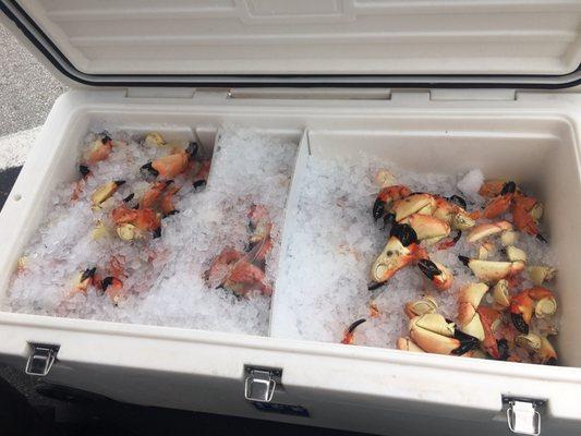 Fresh Friday's at Haulover's brand new Farmer's Market!!