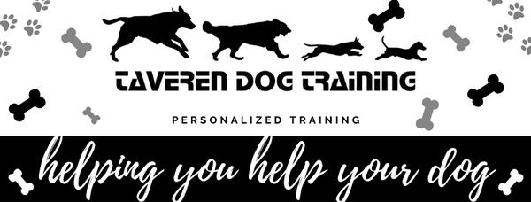 Taveren Dog Training