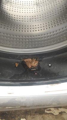 Not exactly the most pleasant surprise Taken 1/9/21.