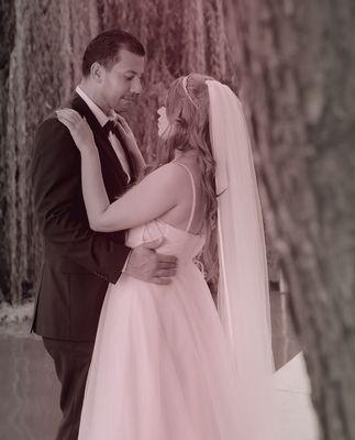 Wedding photo shoot.