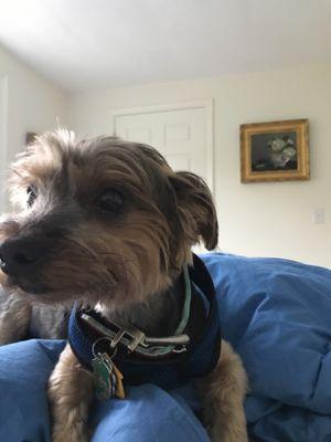 So fresh and so clean.