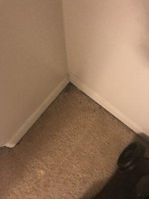 Valley Park Condominium