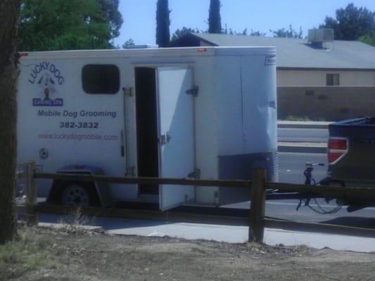 Lucky Dog Canine Spa