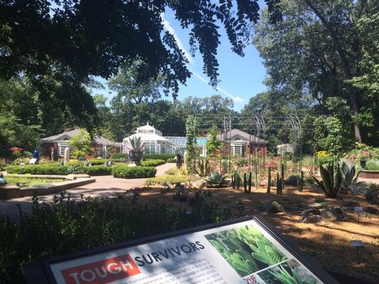 Food Truck Friday at the Dixon