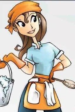 5-Star Interior Cleaning Services