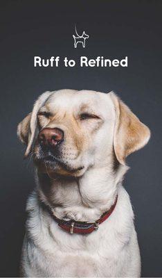 Ruff to Refined Dog and Puppy Training
