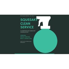 Squeeaky Clean Service