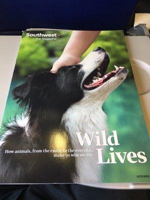 Southwest: The Magazine