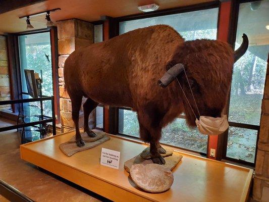 Travertine Nature Center