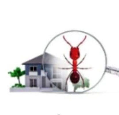 PJA Pest & Property Management
