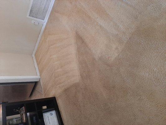 Rivera's Carpet Cleaning