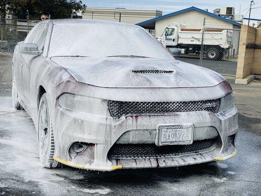 Fresno golden detail