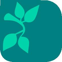 Velarde Pro Cleaning Srv