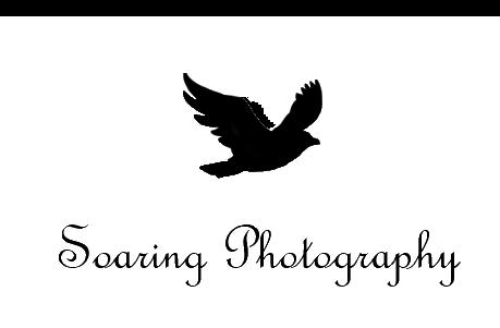 Soaring Photography