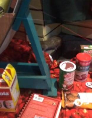 I noticed this last night in their window.... yes - that is a RAT in the window...