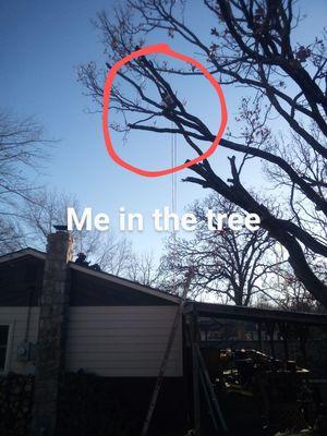 Blakes Trees Roofing&Remodeling