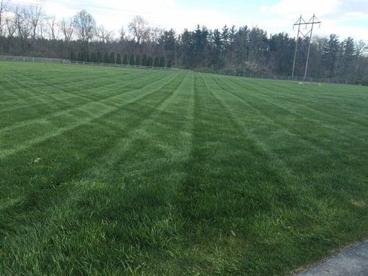 Looks like this every week (3 Acres)