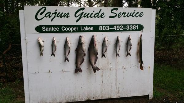 Santee Cajun Guide Service