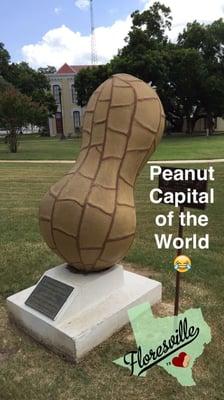 Love this Sculpture on the side of the Wilson County Courthouse...Gigantic Peanut!!