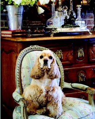 Come browse our shop and let us help you find the perfect addition for your home. Design Services Available