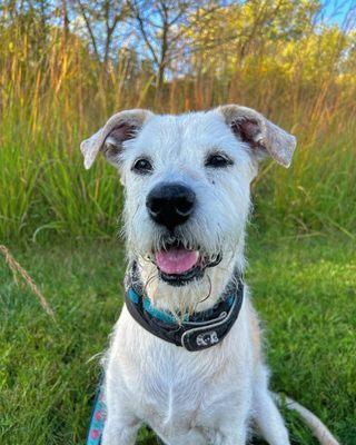 clow stephens community park