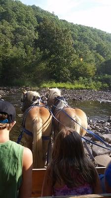 Ej's Cottages & Stable