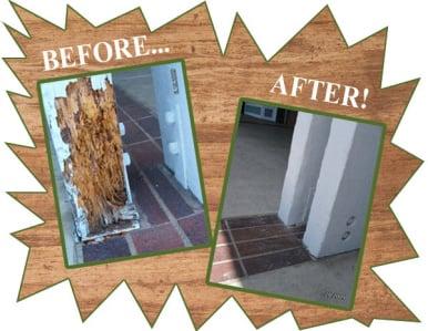 The permanent affordable solution to termite and dry rot damaged wood.