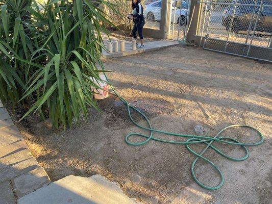 South Made Shining General Yard Work