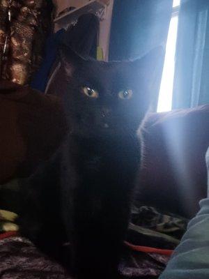 Woodridge Veterinary Hospital