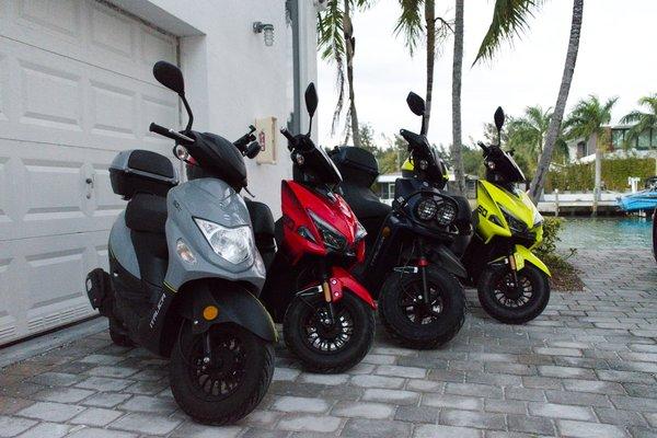 Scooter Dealer Miami - Wynwood