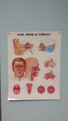 Via Christi Medical Associates