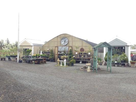 Blondie's Blooms & Berries