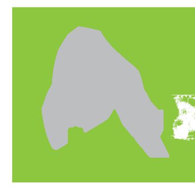 Environmental Affairs