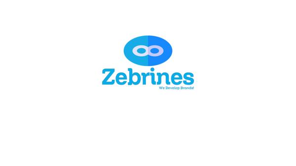 Zebrines IT Consulting
