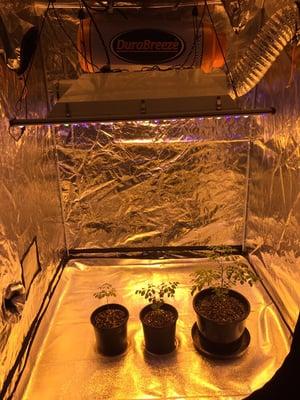 Tents, the ultimate control of your indoor environment