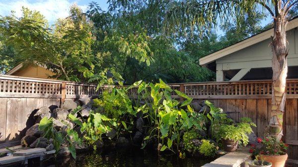 MTLC Petsittting Service