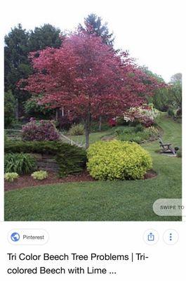 X-Cel Landscaping & Lawn Care