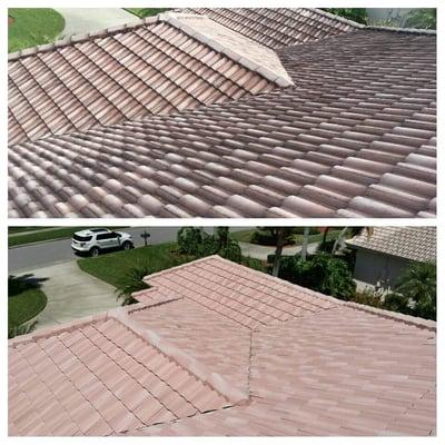 Roof soft washing before and after