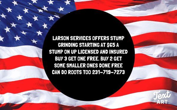 Larson services