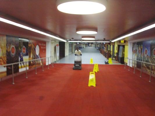 Carpet cleaning at Lambert STL-Airport